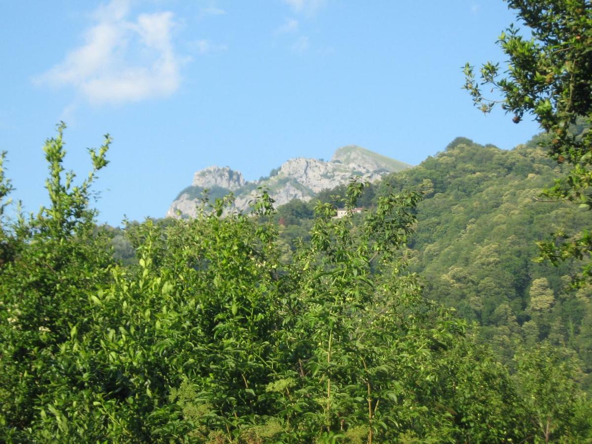 Casa Emilia Villa Stazzema Kültér fotó